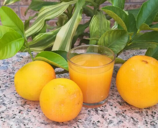 Naranja de zumo. Es una naranja agridulce, con mucho sabor y jugo