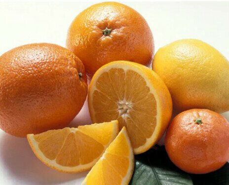 Limones. Ofrecemos citricos de la mejor calidad