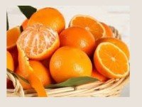 Naranjas. Naranjas y mandarinas 