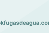 okfugasdeagua.com