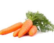 Zanahoria. Hortalizas frescas