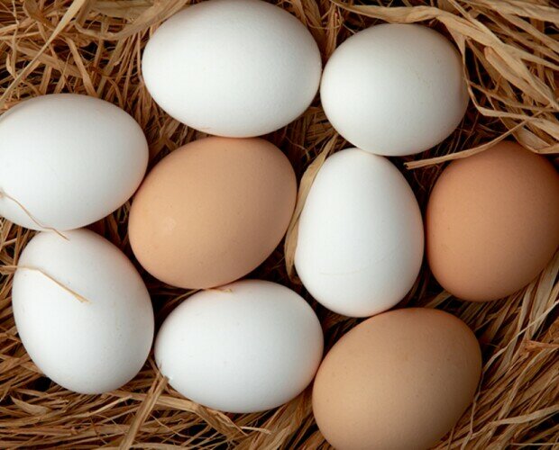Huevos. Ofrecemos gran variedad de huevos