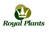Royal Plants