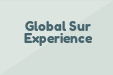 Global Sur Experience
