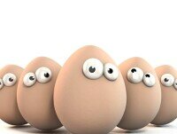 Huevos Frescos de Gallina. Huevos Avícola Zubi -gane. Calidad y gran sabor
