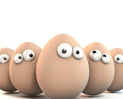 Huevos. Huevos Avícola Zubi -gane. Calidad y gran sabor