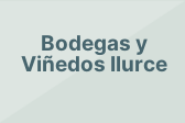 Bodegas y Viñedos Ilurce