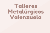Talleres Metalúrgicos Valenzuela