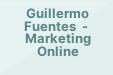 Guillermo Fuentes - Marketing Online