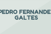 PEDRO FERNANDEZ GALTES