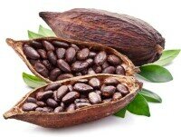 Cacao en Grano. Contamos con variedad de cacao
