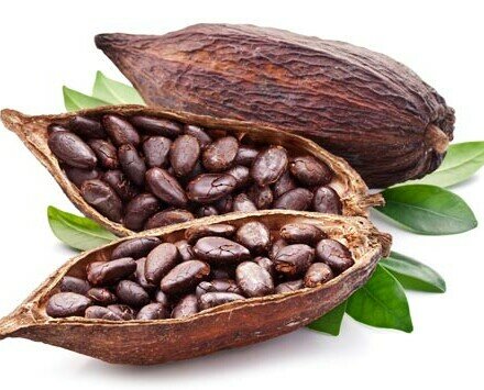 Cacao. Contamos con variedad de cacao