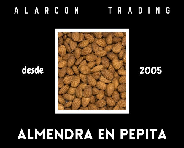 ALMENDRA EN PEPITA. Comercializamos pepita de almendra española con piel y repelada de todas variedades.
