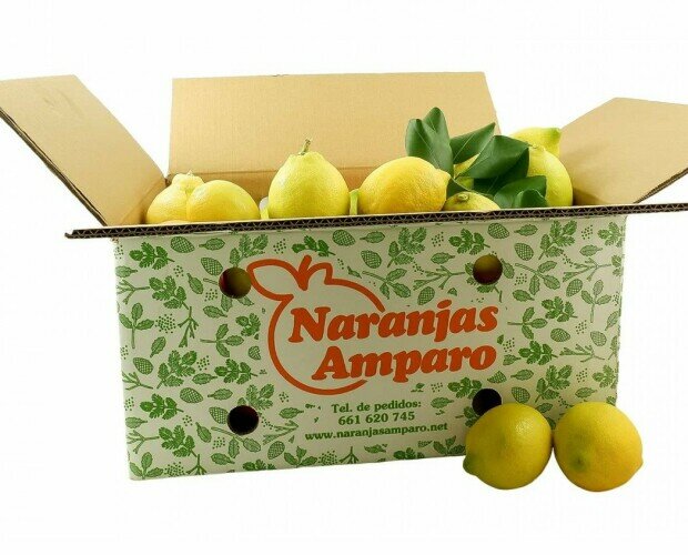 Limones. Disfruta del placer del limón en zumo o rodajas para cocinar
