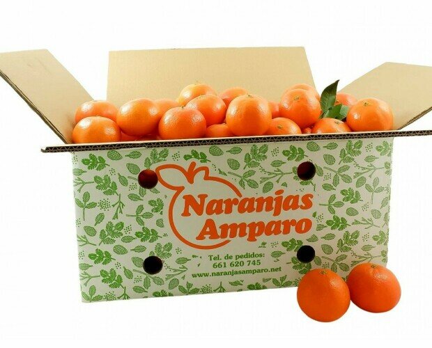 Naranjas Amparo. Ofrecemos productos de la mejor calidad del mercado