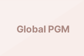 Global PGM