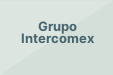 Grupo Intercomex