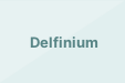 Delfinium