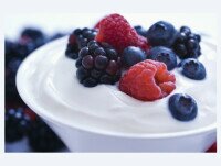 Yogur Helado. Es un producto nutritivo, digerible y fácilmente asimilable