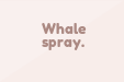 Whale spray.