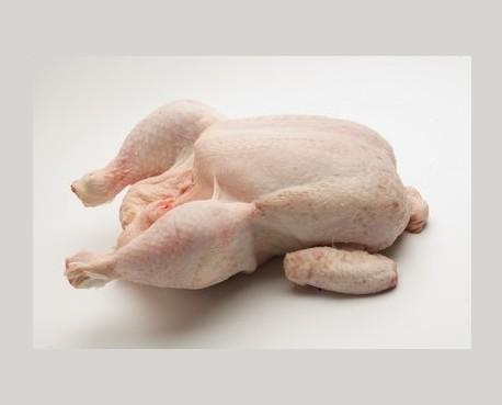 Pollo. Es un ave de corral joven, de carne blanca,elástica y sabrosa.Que admite multitud de preparaciones culinarias.