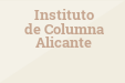 Instituto de Columna Alicante