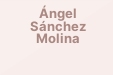 Ángel Sánchez Molina