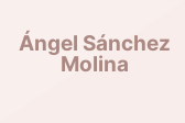 Ángel Sánchez Molina