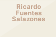Ricardo Fuentes Salazones