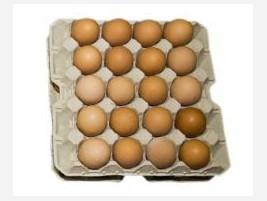 Huevos. Huevos de gallina a granel y ovoproductos