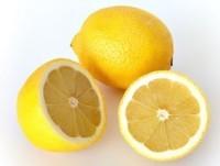 Limones. Suministramos frutas cítricas de calidad, como los limones