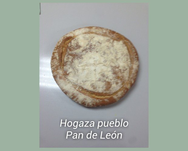 Pan de León. Hogaza pueblo