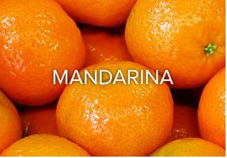 Mandarinas. Clementinas e Hibridos