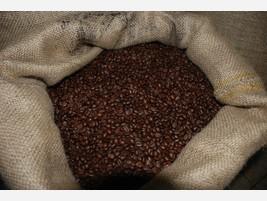 Café. Usamos los mejores granos de café del mundo