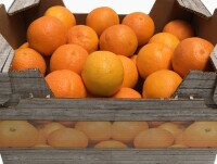 Naranjas Ecológicas. Disponemos de frutas ecológicas