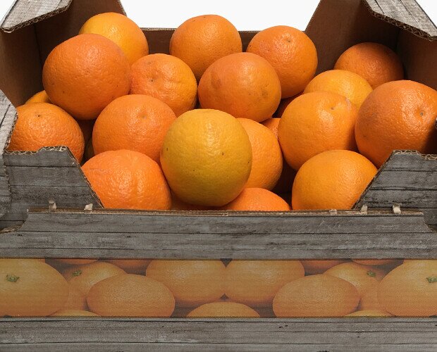 Naranjas ECO. Disponemos de frutas ecológicas