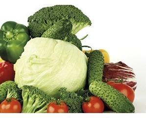 Verduras y hortalizas. Contamos con variedad de verduras y hortalizas de alta calidad