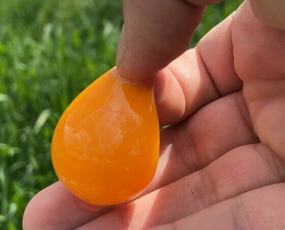 Yema de huevo campero. La yema de nuestro huevo campero tiene una textura, color y densidad perfectas.