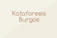 Kataforesis Burgos