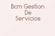 Bcm Gestion De Servicios