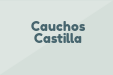 Cauchos Castilla