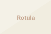 Rotula