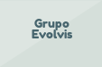 Grupo Evolvis