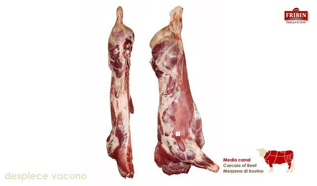 Carne vacuna. La mayor variedad de cortes de carnes