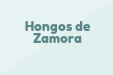 Hongos de Zamora