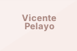 Vicente Pelayo