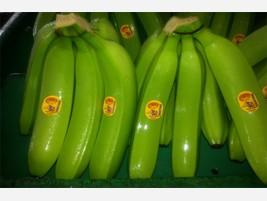Frutas. Banana Premium Ecuador