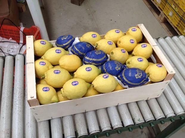 Limón. Limón Verna nacional