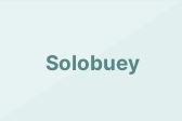 Solobuey