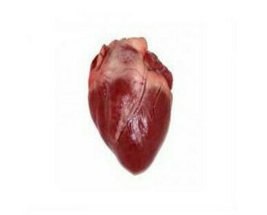 Corazón de cerdo. Corazón de cerdo congelado. Para la elaboración de platos tradicionales